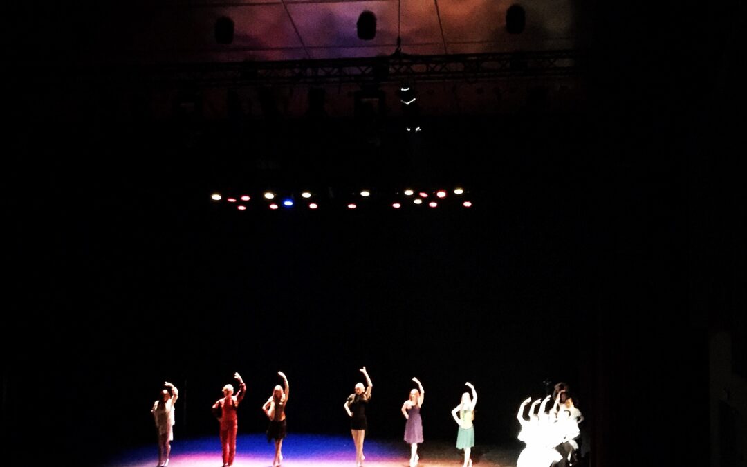 6swanS